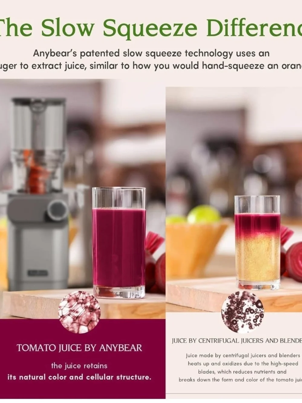 Anybear Cold Press Juicer 200W Slow Masticating Juicer 4.3